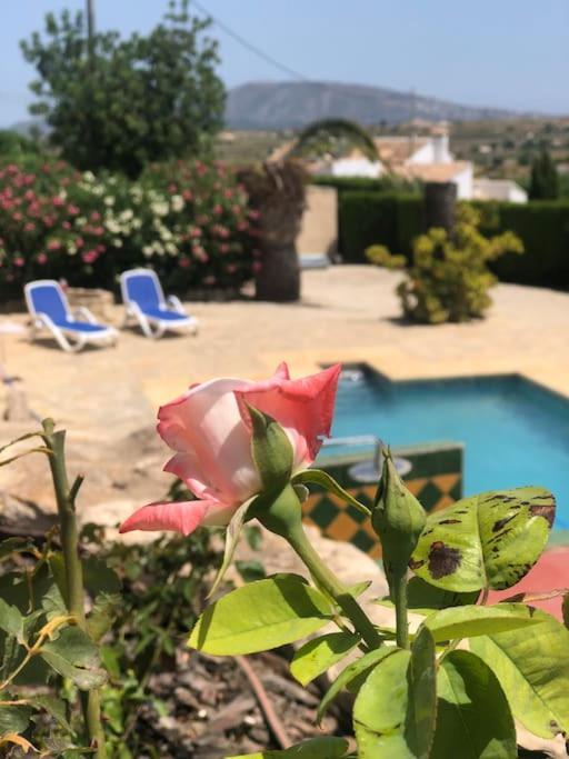 Rustico Appartment 'Olta' In Finca, See-And Garden Side تيولادا المظهر الخارجي الصورة