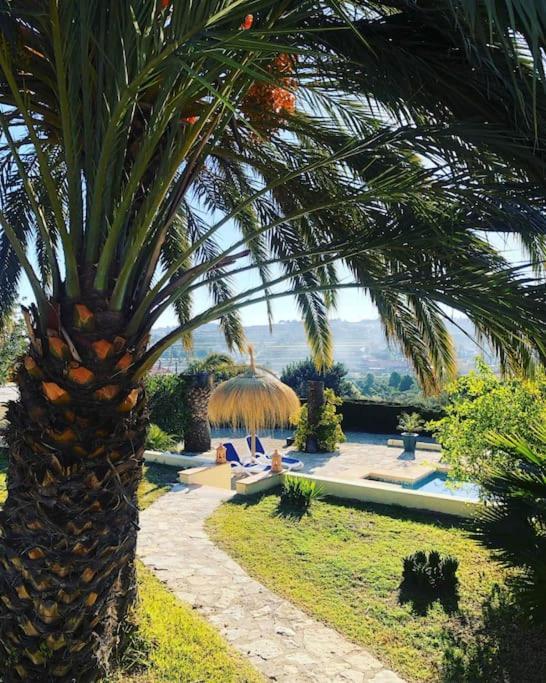 Rustico Appartment 'Olta' In Finca, See-And Garden Side تيولادا المظهر الخارجي الصورة